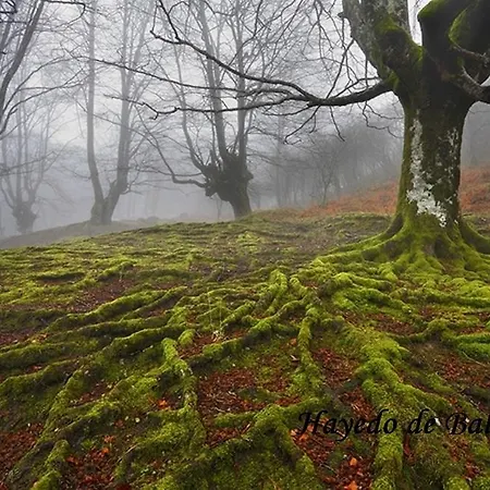 Gailurretan Carranza