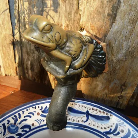 Gailurretan Carranza