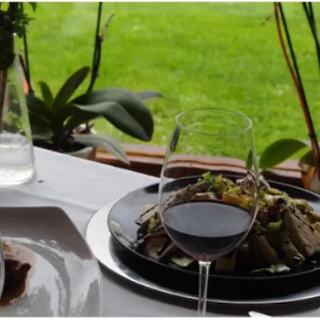 Gailurretan 3* Carranza