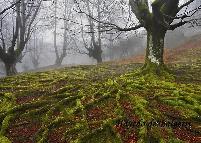 Gailurretan Carranza