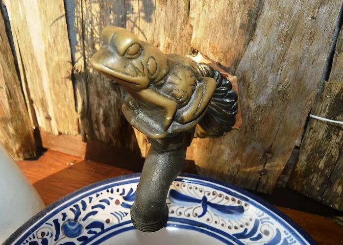 Gailurretan Carranza